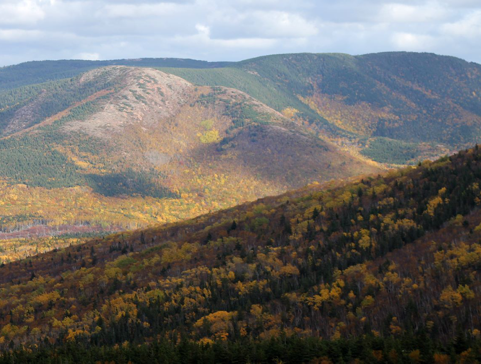 cabot trail bus tours nova scotia